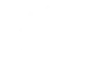 Birch Craft Construction Logo White